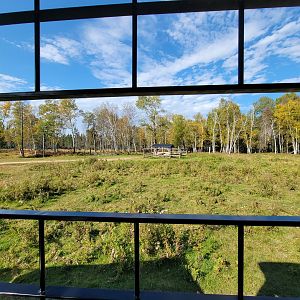 Zoo Sauvage 10/22 - Train, whitetail deer