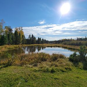 Zoo Sauvage 10/22 - Train, scenery
