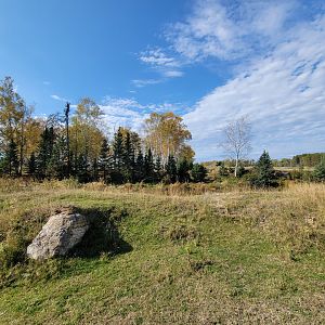 Zoo Sauvage 10/22 - Train, edge of brown bear exhibit