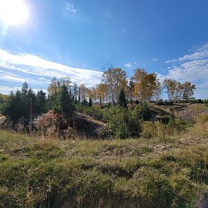 Zoo Sauvage 10/22 - Train, brown bear yard
