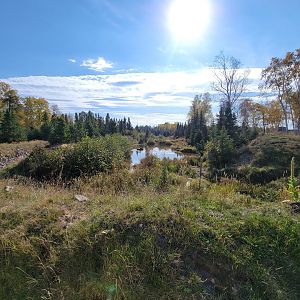 Zoo Sauvage 10/22 - Train, brown bear in pond