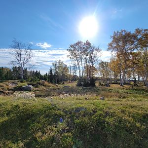 Zoo Sauvage 10/22 - Train, brown bear yard