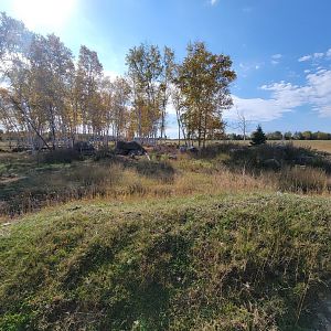 Zoo Sauvage 10/22 - Train, brown bear yard