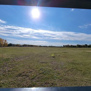 Zoo Sauvage 10/22 - Train, prairie dog field