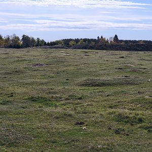 Zoo Sauvage 10/22 - Train, prairie dog field