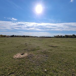 Zoo Sauvage 10/22 - Train, prairie dog field