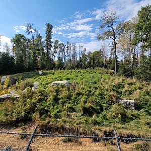 Zoo Sauvage 10/22 - Train, arctic wolves