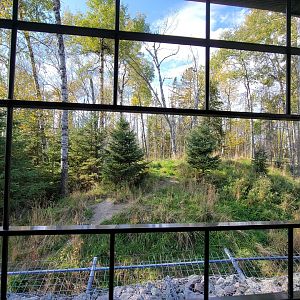 Zoo Sauvage 10/22 - Train, arctic wolves