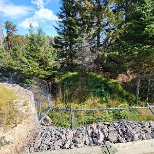 Zoo Sauvage 10/22 - Train, gray wolves