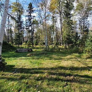 Zoo Sauvage 10/22 - Train, scenery