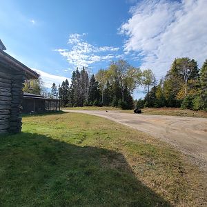 Zoo Sauvage 10/22 - Train, black bear and waterfowl in settlement #2