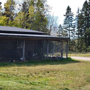 Zoo Sauvage 10/22 - Train, waterfowl in settlement #2