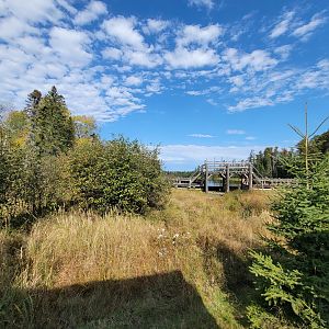 Zoo Sauvage 10/22 - Train, dam next to settlement #2