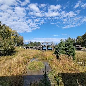 Zoo Sauvage 10/22 - Train, dam next to settlement #2