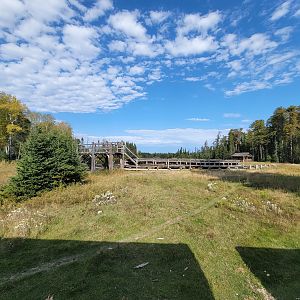 Zoo Sauvage 10/22 - Train, dam next to settlement #2