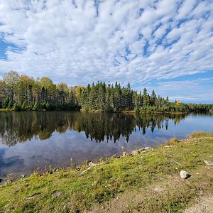 Zoo Sauvage 10/22 - Train, scenery