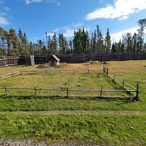 Zoo Sauvage 10/22 - Train, settlement #3