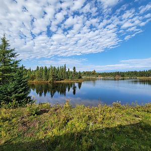 Zoo Sauvage 10/22 - Train, scenery