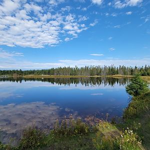 Zoo Sauvage 10/22 - Train, scenery