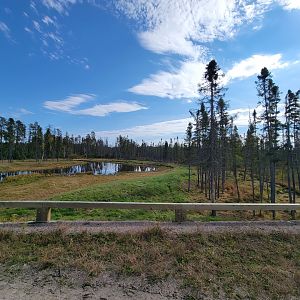 Zoo Sauvage 10/22 - Train, scenery