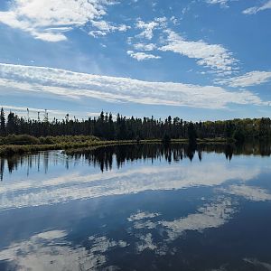 Zoo Sauvage 10/22 - Train, scenery