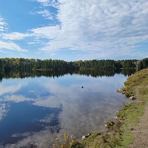 Zoo Sauvage 10/22 - Train, scenery