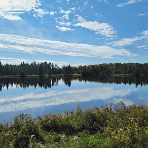 Zoo Sauvage 10/22 - Train, scenery