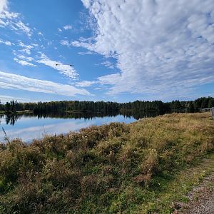 Zoo Sauvage 10/22 - Train, scenery and dragonflies :)