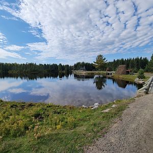 Zoo Sauvage 10/22 - Train, settlement #4