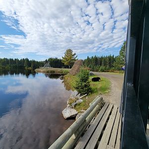 Zoo Sauvage 10/22 - Train, black bear in settlement #4