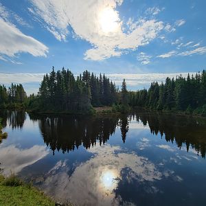 Zoo Sauvage 10/22 - Train, scenery