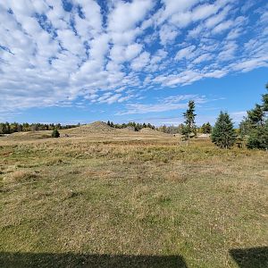 Zoo Sauvage 10/22 - Train, muskox area