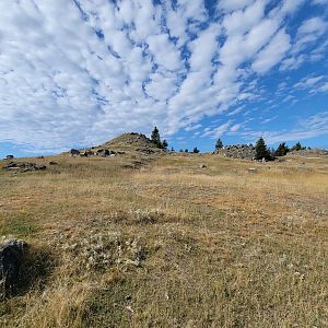 Zoo Sauvage 10/22 - Train, muskox area