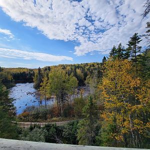 Zoo Sauvage 10/22 - Train, scenery