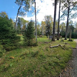 Zoo Sauvage 10/22 - Train, elk