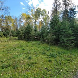 Zoo Sauvage 10/22 - Train, elk