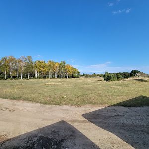 Zoo Sauvage 10/22 - Train, scenery