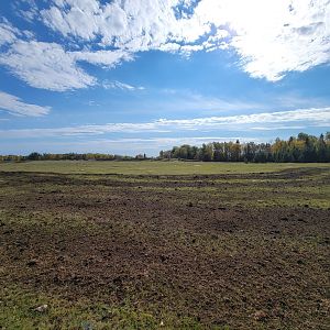 Zoo Sauvage 10/22 - Train, prairie dog field