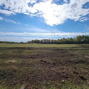 Zoo Sauvage 10/22 - Train, prairie dog field