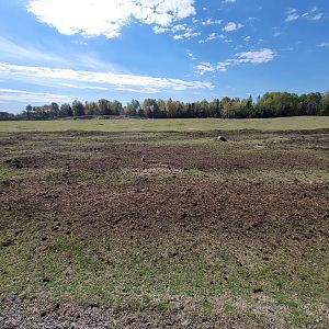 Zoo Sauvage 10/22 - Train, prairie dog field