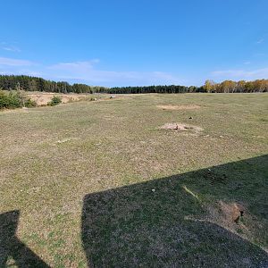 Zoo Sauvage 10/22 - Train, prairie dog field