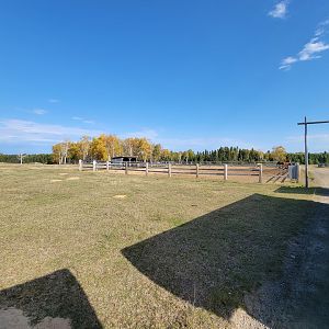 Zoo Sauvage 10/22 - Train, settlement #5