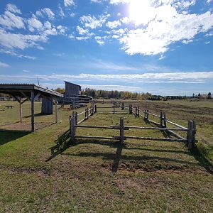 Zoo Sauvage 10/22 - Train, settlement #5