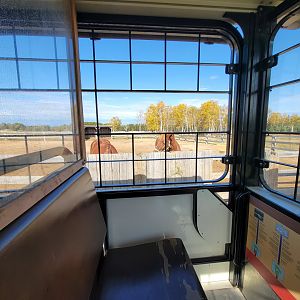 Zoo Sauvage 10/22 - Train, settlement #5 horses