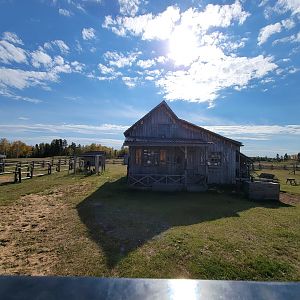 Zoo Sauvage 10/22 - Train, settlement #5