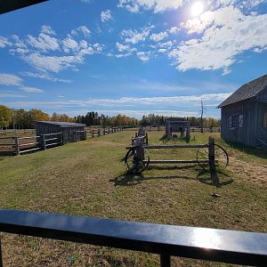 Zoo Sauvage 10/22 - Train, settlement #5