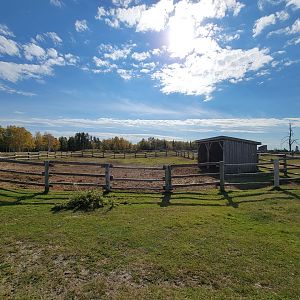 Zoo Sauvage 10/22 - Train, settlement #5 calves