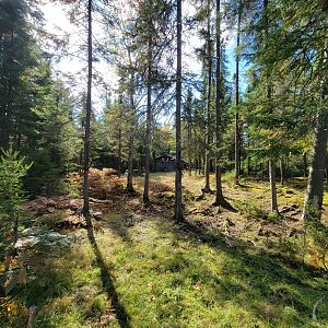 Zoo Sauvage 10/22 - Train, scenery at end of ride