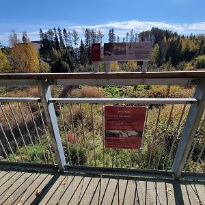 Zoo Sauvage 10/22 - Eastern Asia, red-crowned crane exhibit (not out due to avian flu)