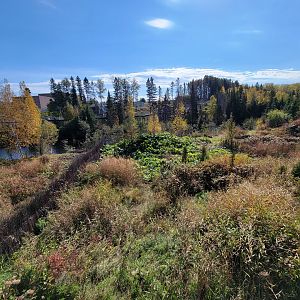 Zoo Sauvage 10/22 - Eastern Asia, red-crowned crane exhibit (not out due to avian flu)